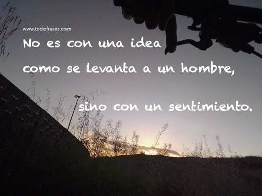 No es con una idea como se levanta a un hombre, sino con un sentimiento.