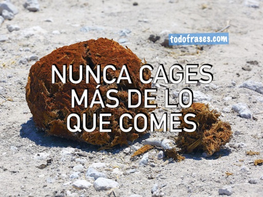 Nunca cages mas de lo que comes