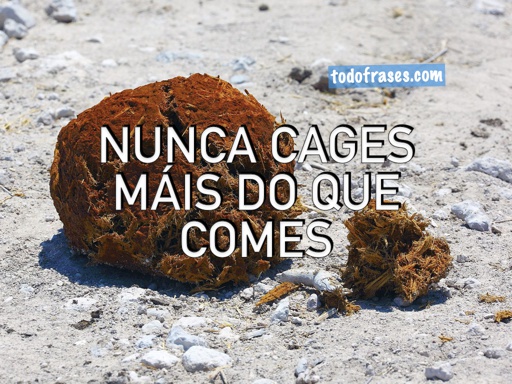 Nunca cages máis do que comes