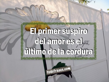 El primer suspiro del amor es el último de la cordura