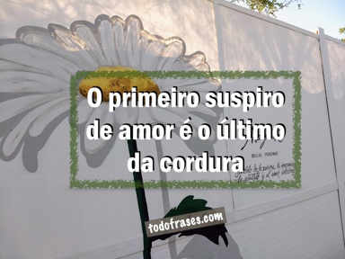 O primeiro suspiro de amor é o último da cordura