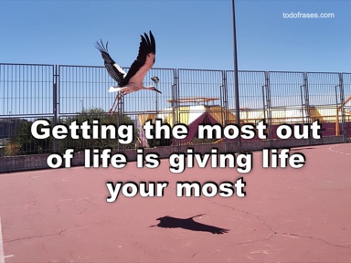 Getting the most out of life is giving life your most.