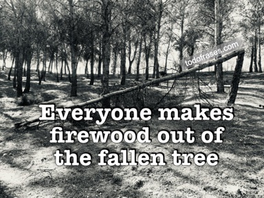 Everyone makes firewood out of the fallen tree