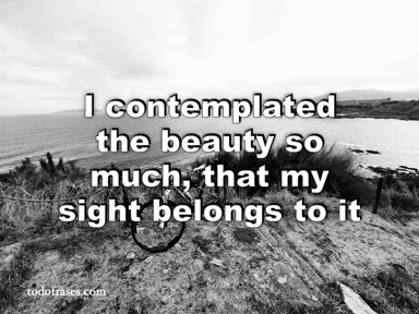 I contemplated the beauty so much, that my sight belongs to it