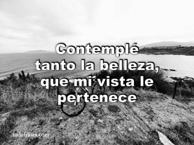 Contemplé tanto la belleza, que mi vista le pertenece