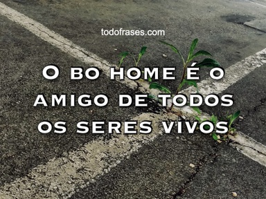 O bo home é o amigo de todos os seres vivos