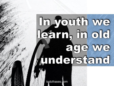 In youth we learn, in old age we understand