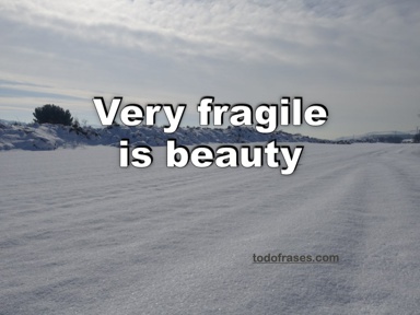 Very fragile is beauty