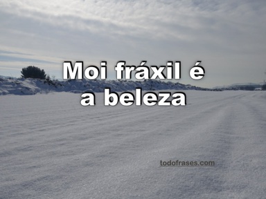 Moi fráxil é a beleza