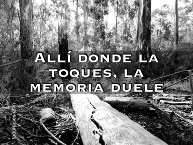 Allí donde la toques, la memoria duele