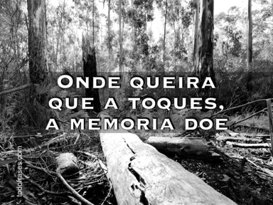 Onde queira que a toques, a memoria doe