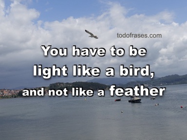 You have to be light like the bird, and not like the feather