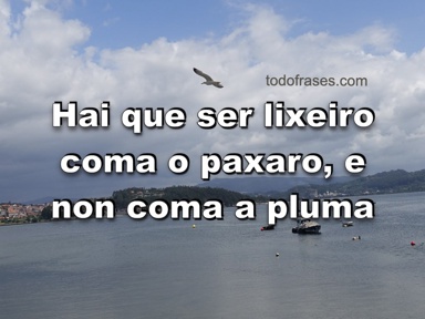 Hai que ser lixeiro coma o paxaro, e non coma a pluma