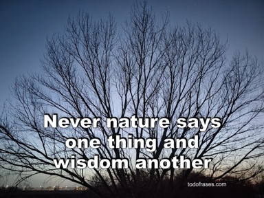 Never nature says one thing and wisdom another