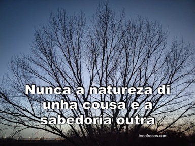 Nunca a natureza di unha cousa e a sabedoría outra