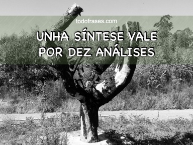 Unha síntese vale por dez análises